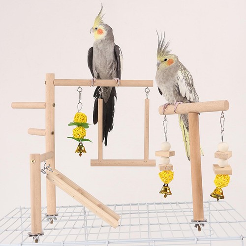 Parrot playground climb - parrot,